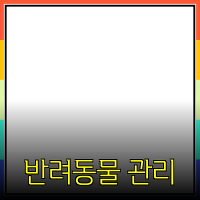 전국민이 사랑하는 반려동물 관리 아이템 추천!