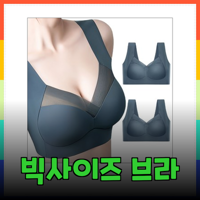 편안함과 스타일을 모두 담은 빅사이즈 브라 추천